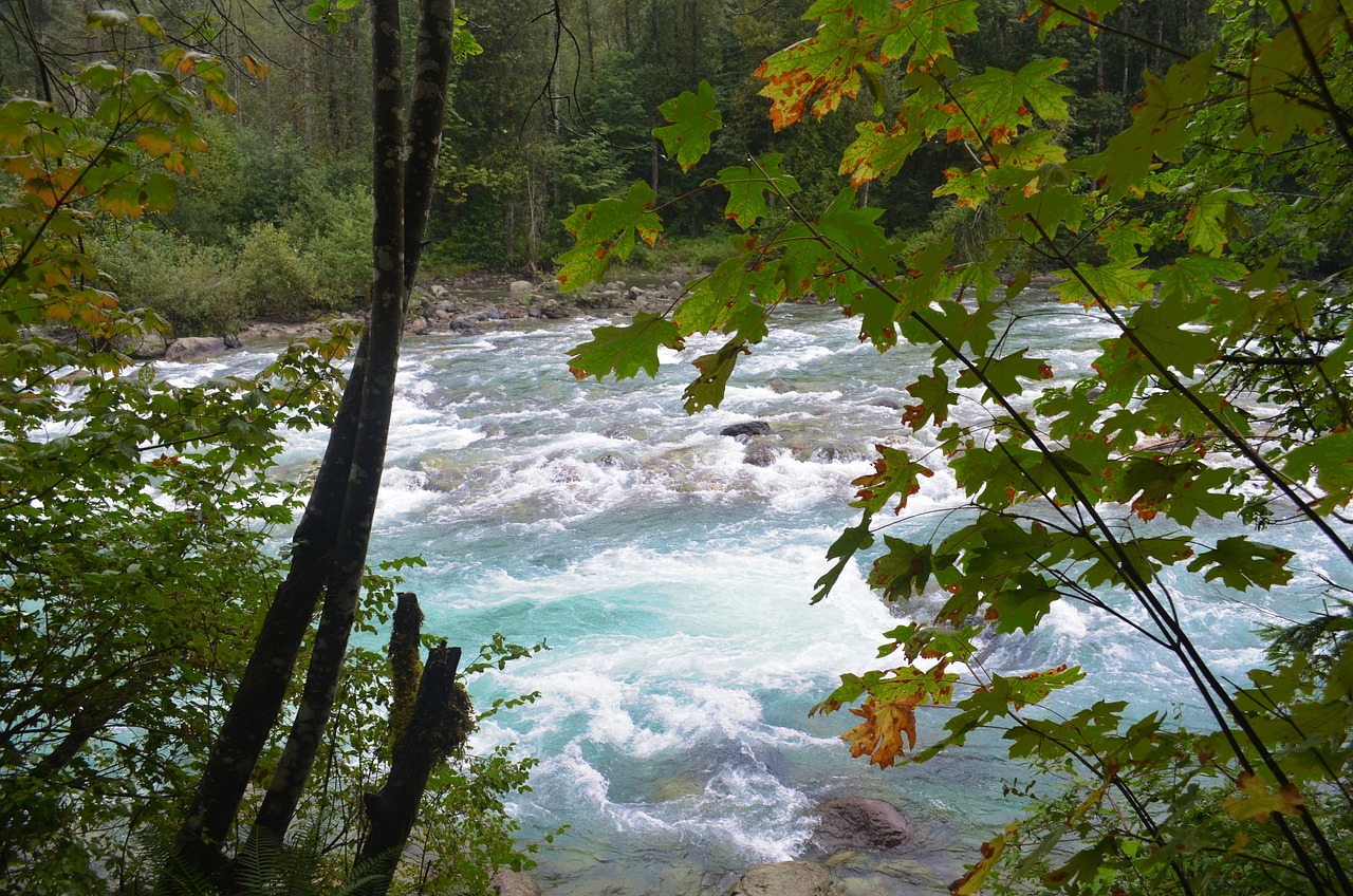 Libre Rio Río Arroyo Al Aire Libre - Foto gratis en Pixabay - Pixabay