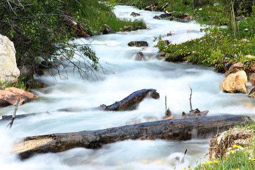 Free River Water photo and picture