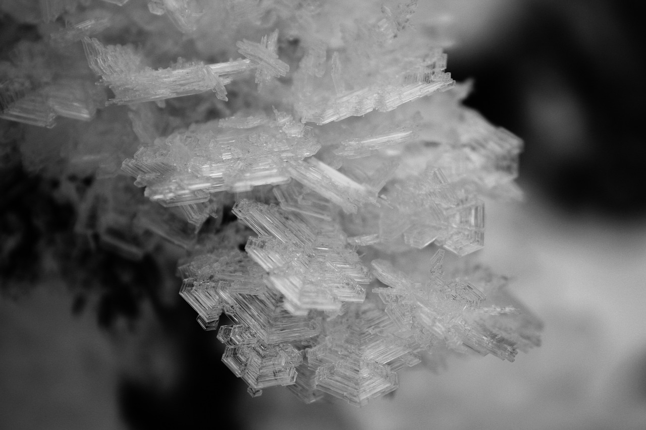 Ice Crystals Winter Nature Free photo on Pixabay Pixabay