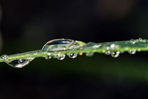 Free Rain Water photo and picture