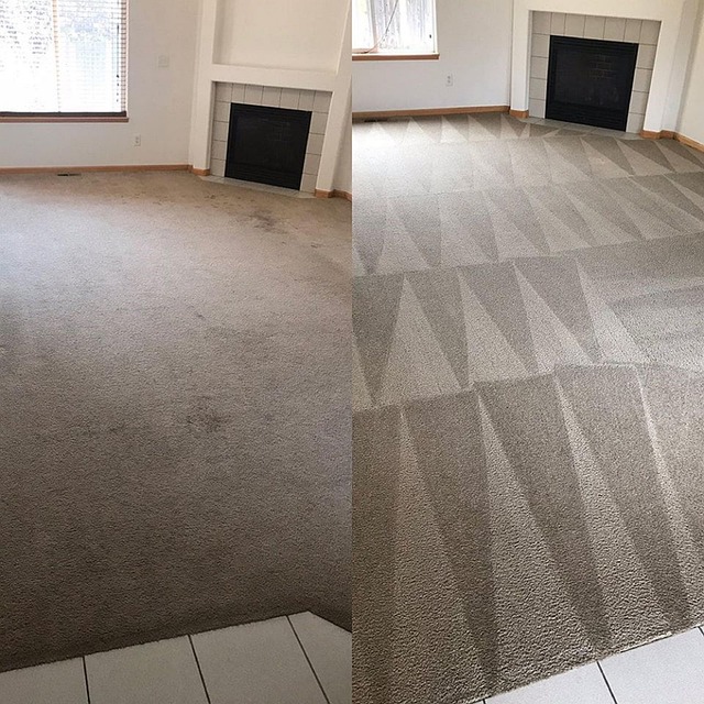 Carpet Cleaning Cape Coral My Free photo on Pixabay Pixabay