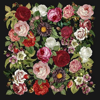 Free Roses Collage illustration and picture