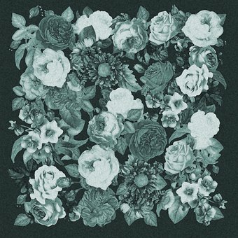 Free Roses Collage illustration and picture