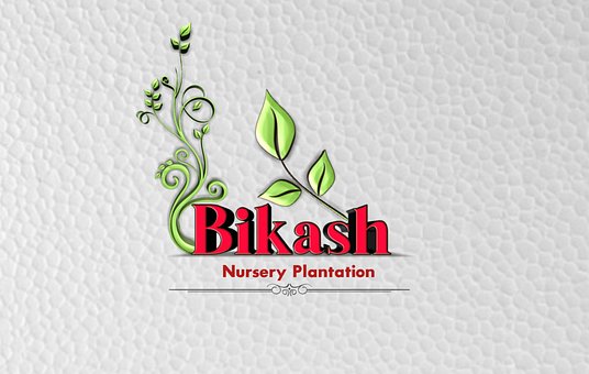 Plantion, Plantaardige, Kinderopvang