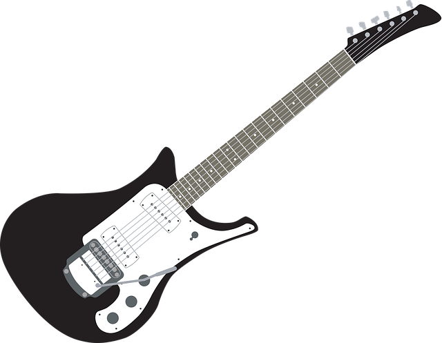 Gitarre, Schwarz-Weiß-Gitarre, E Gitarre