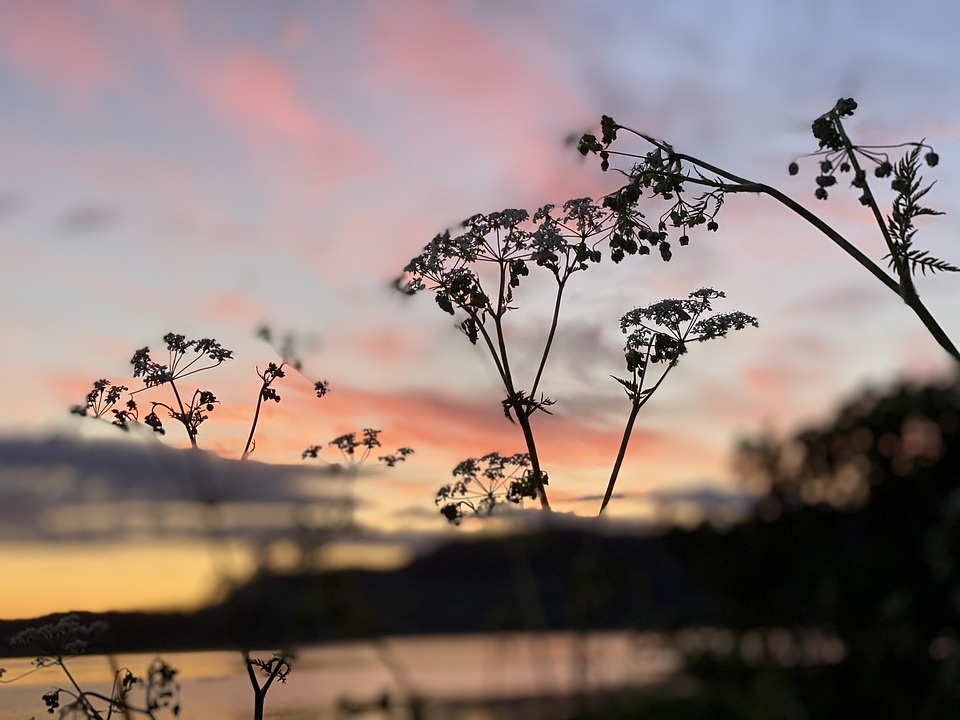 Nature Norway Sky - Free photo on Pixabay - Pixabay