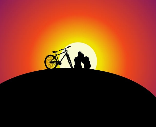 Free sunset couple bicycle illustration