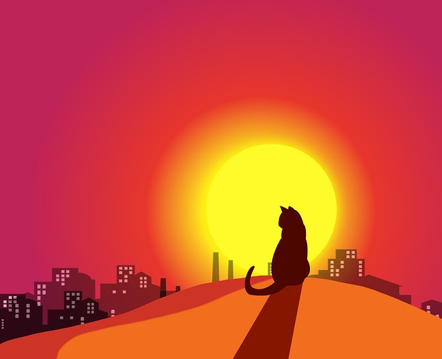Free cat pet nature illustration