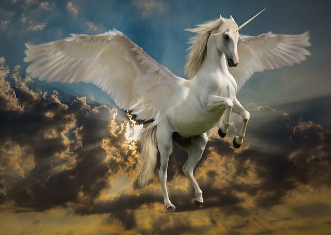 700+ kostenlose Einhorn und Fantasie-Bilder - Pixabay