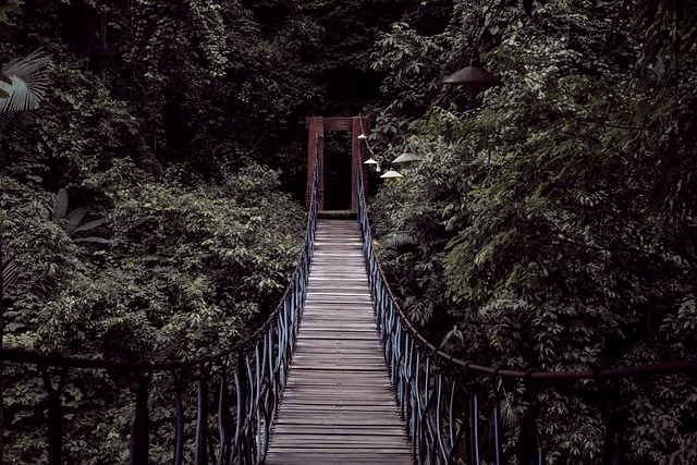 สะพาน, สะพานที่แขวนอยู่, สะพานไม้