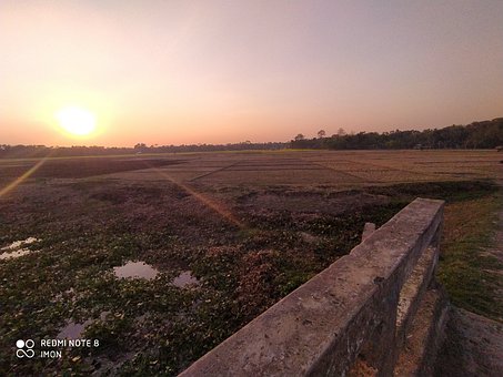 Free Falling Afternoon Afternoon Sun photo and picture