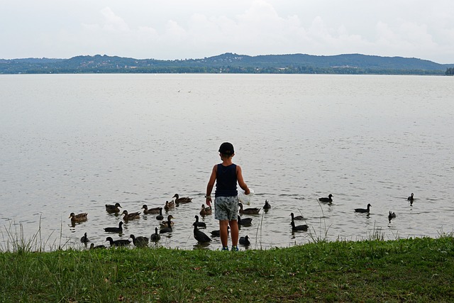 Free Boy Child photo and picture