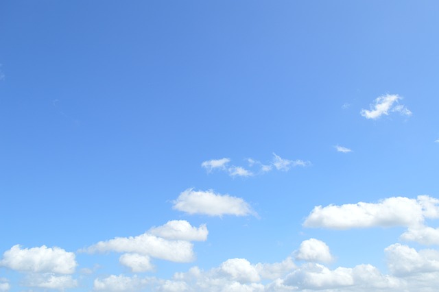 Free Sunshine Sunny photo and picture