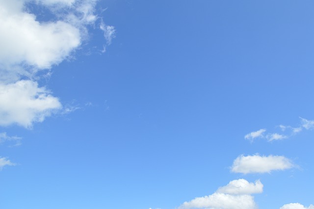 Free Sunshine Sunny photo and picture