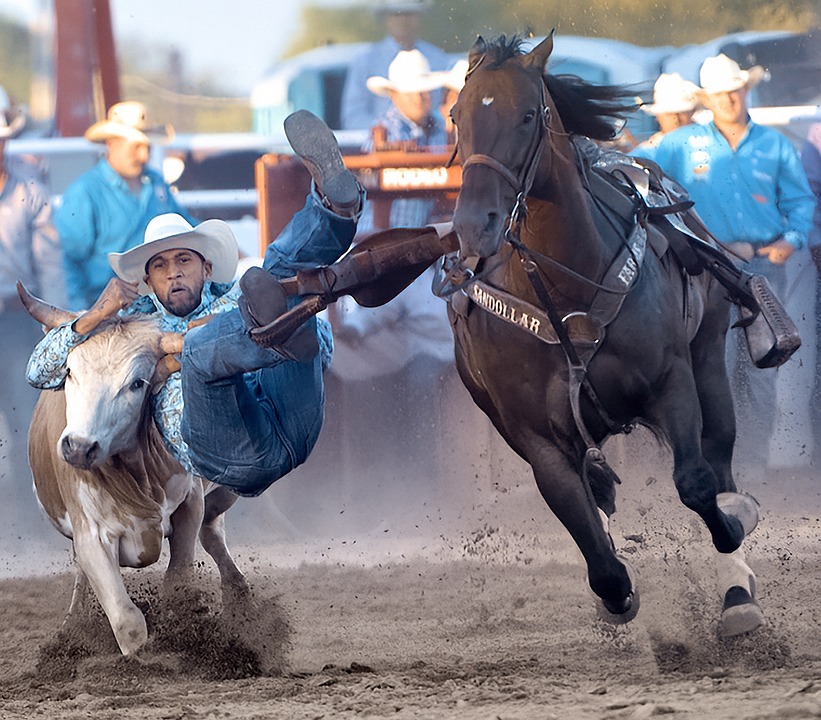 Rodeo Vaquero Dirigir - Foto gratis en Pixabay - Pixabay
