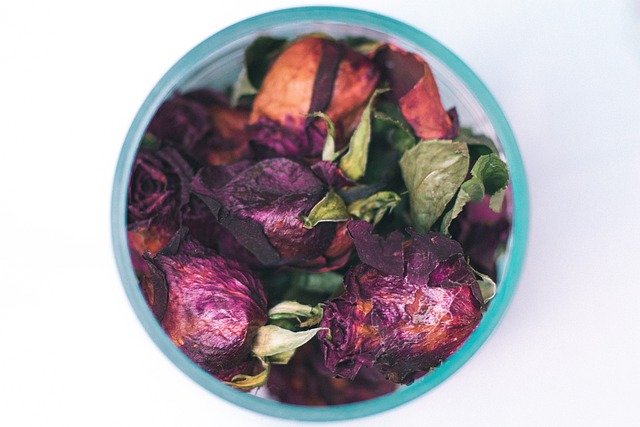 Free Flowers Dried Flowers photo and picture
