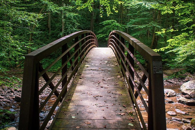 Free West Virginia New River Gorge photo and picture