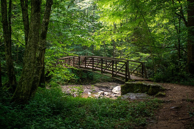 Free West Virginia New River Gorge photo and picture