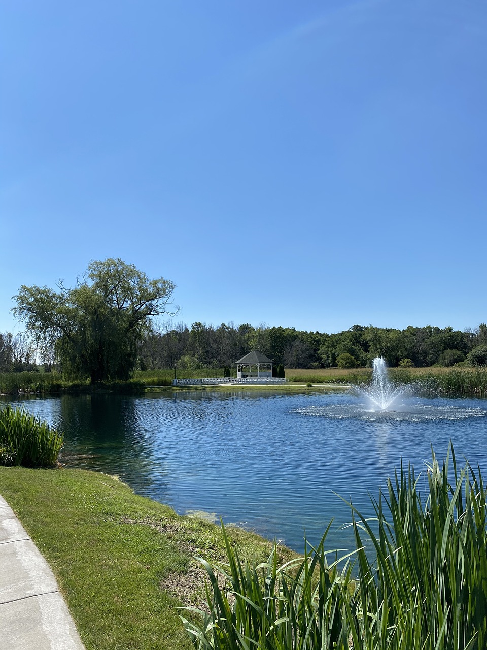 Water Fountain Pond - Free photo on Pixabay - Pixabay