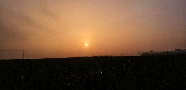 Free Dawn Orange photo and picture