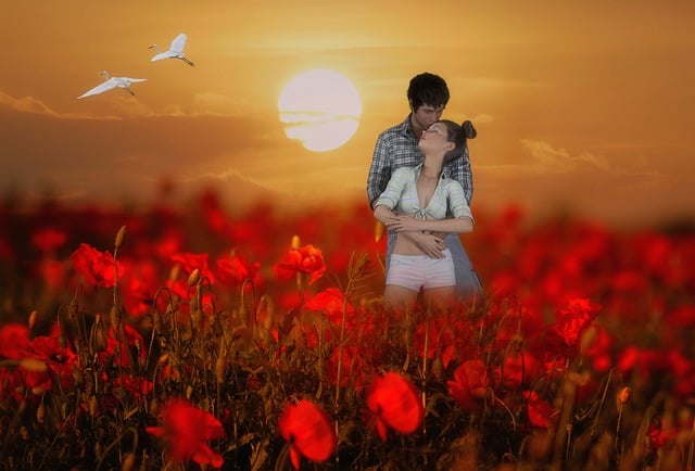 Free couple fantasy poppy field illustration