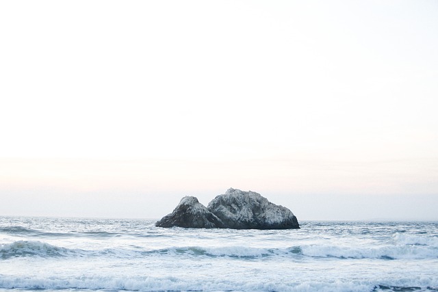 Free Ocean Coast photo and picture