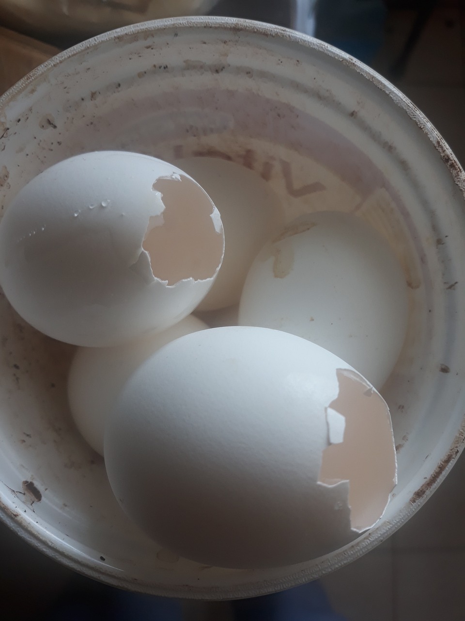 Eggs Calcium Free photo on Pixabay Pixabay