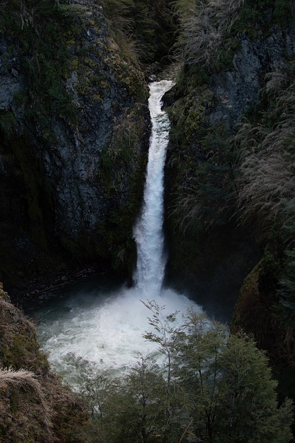 Free Waterfall River photo and picture