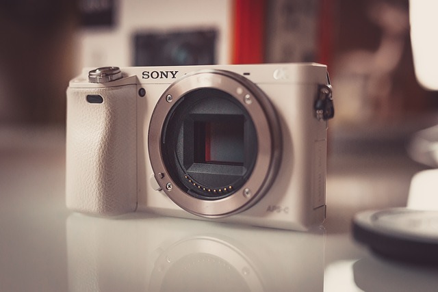 Free Camera Digital photo and picture