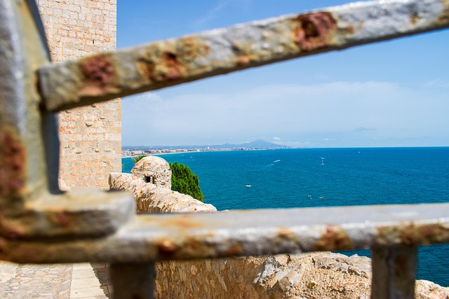 Free Summer Sea photo and picture
