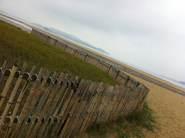 Beach Sandy Landscape - Free photo on Pixabay - Pixabay