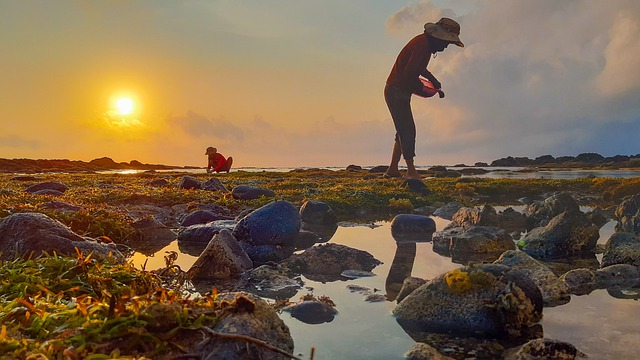 Free Dawn Reef photo and picture