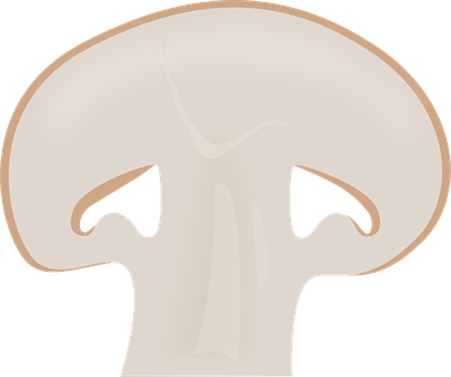 Free Mushroom Vegetable vector and picture