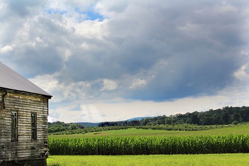 Feld, Kulturpflanzen, Ackerland