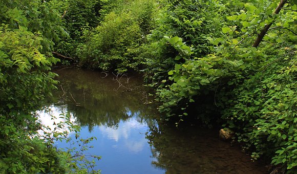 Shenandoah-Tal, Virginia, Reflexionen