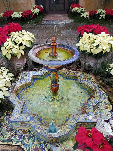 Free Fountain Plants photo and picture