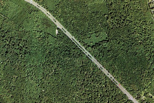 Grün, Laub, Verdure, Laubwerk, Kräuter
