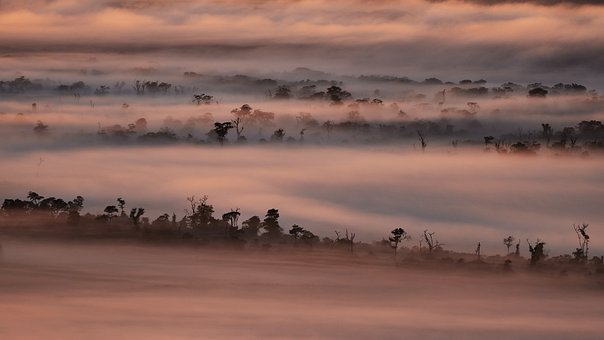Free Fog Nature photo and picture