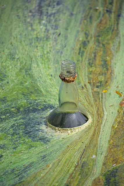 Flasche, Wasser, Plastik, Grün, Wellen