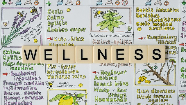 Gesund, Wellness, Meditation, Yoga