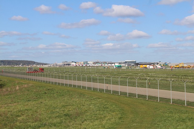 Lufthavn, Tage, Ferie, Ankomst