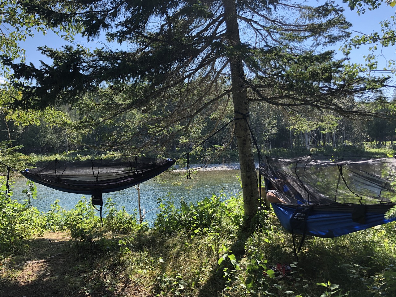 Hammock River Nature Free Photo On Pixabay Pixabay