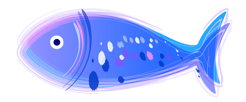 Fish Aquatic Animals Animal Free Image On Pixabay