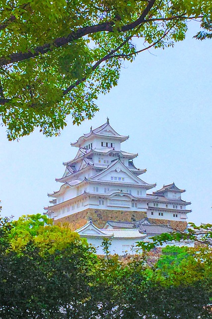 Free Castle Building photo and picture