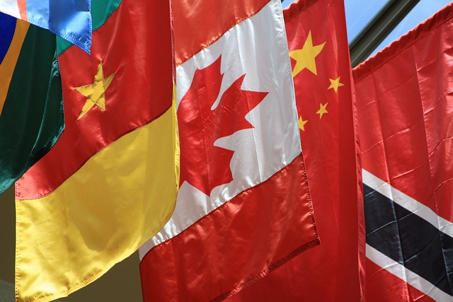 Free Flags Country photo and picture