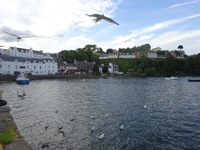 Free Portree Isle Of Skye Scotland photo and picture