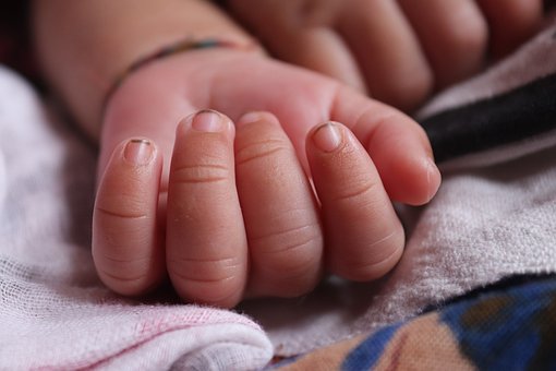 Free Baby Finger Baby photo and picture