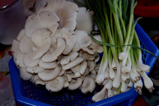 Free Mushroom Garlic photo and picture