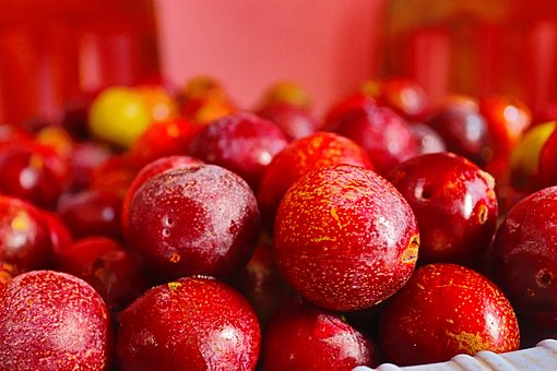 Free Plum Fruit photo and picture