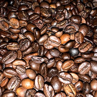 Free Coffee Coffee Beans photo and picture